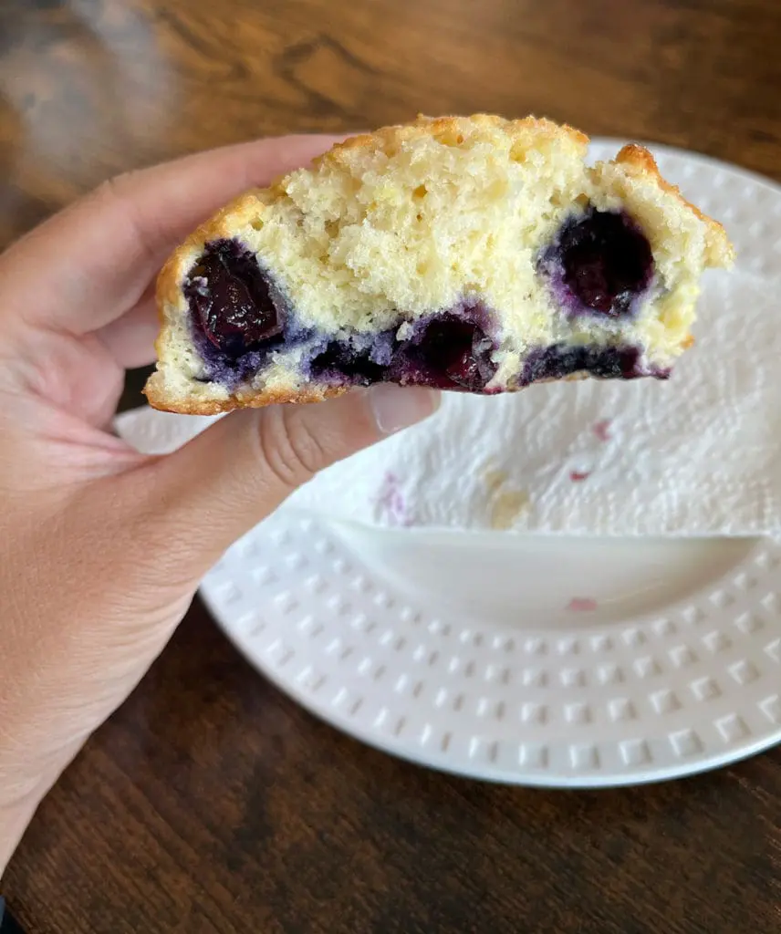 Ridgetop Coffee blueberry scone interior