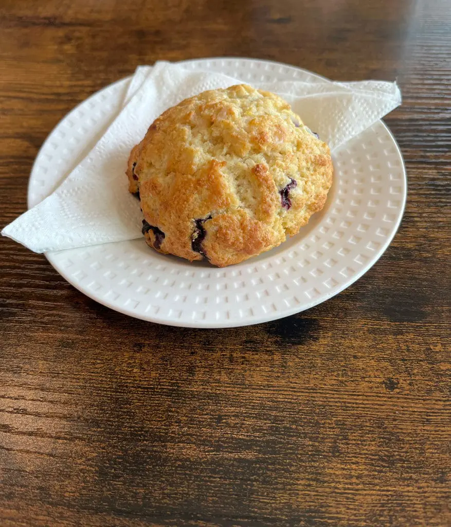 Uneaten Blueberry Scone