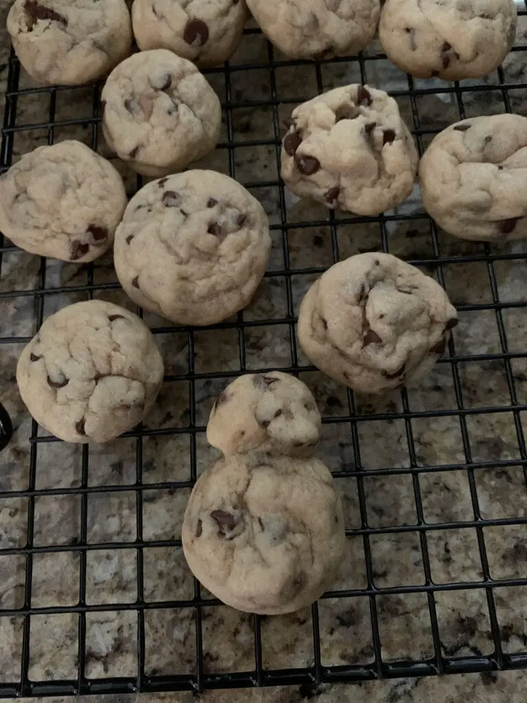 mini chocolate chip cookies