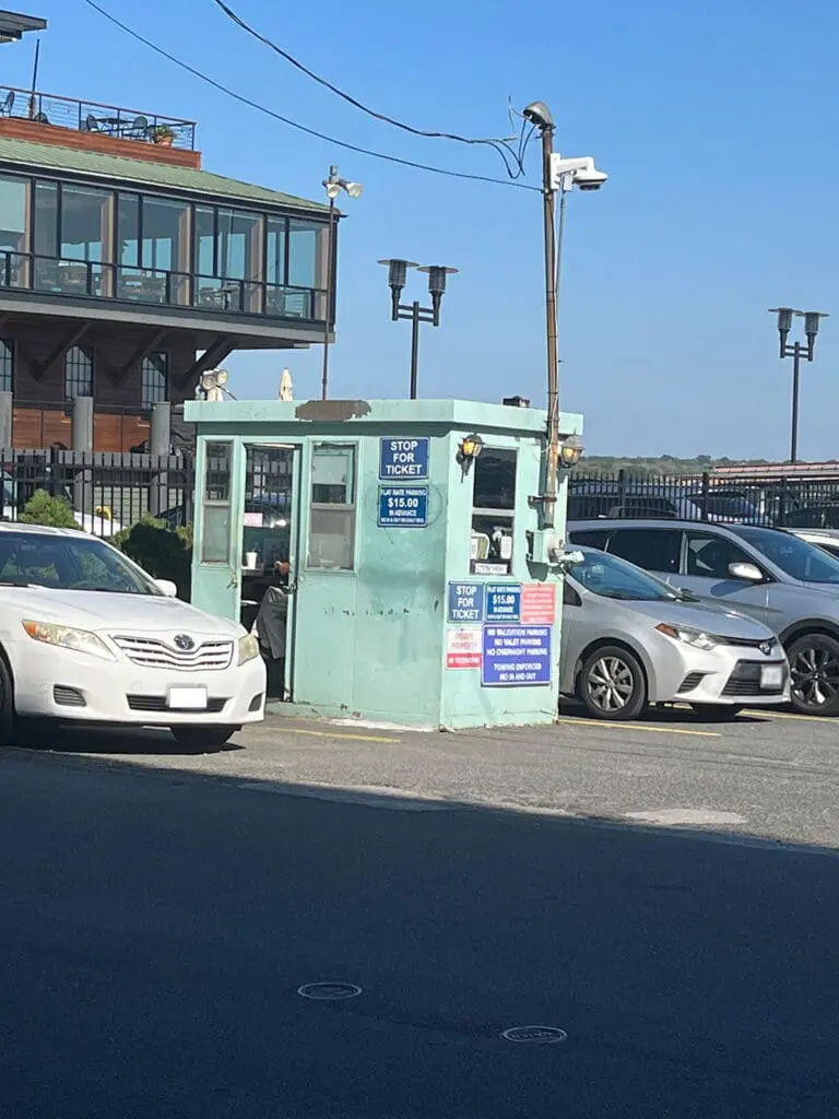Lady Camellia Parking Attendant