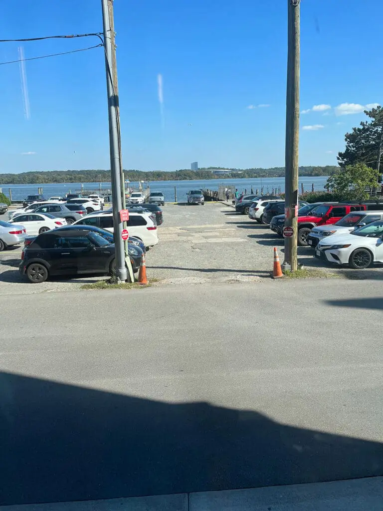 Lady Camellia Parking Lot View