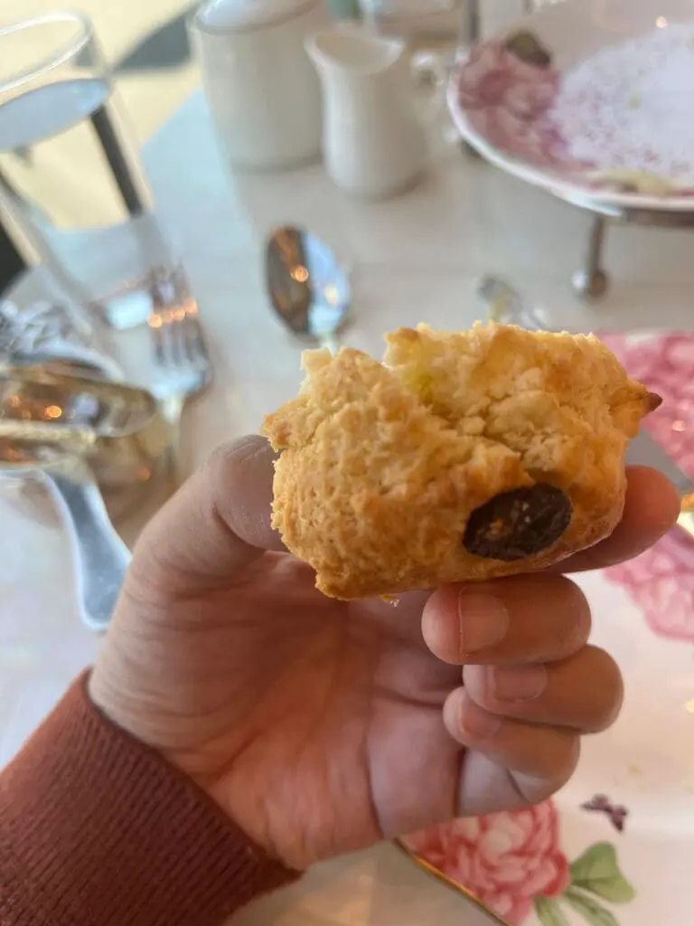 Lady Camellia White Chocolate and Cranberry Scone