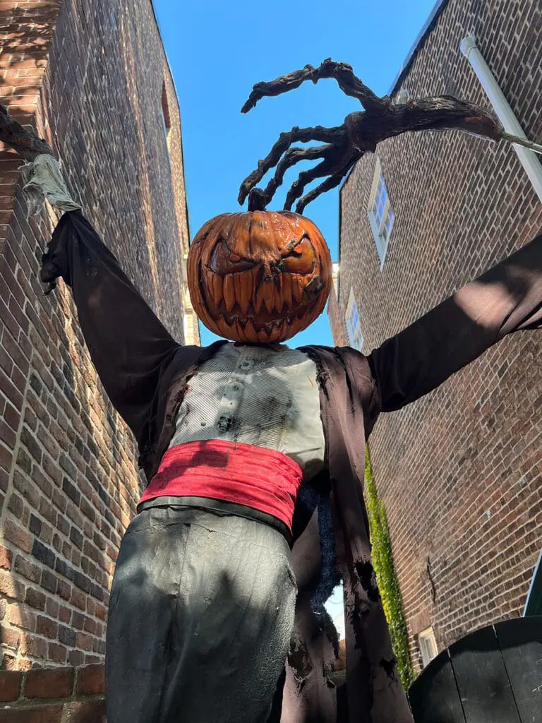 Old Town Alexandria Pumpkins