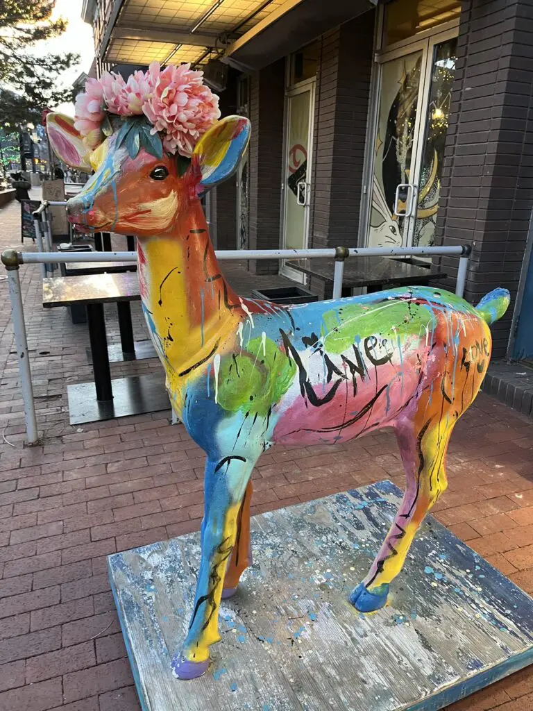Colorado rainbow painted deer
