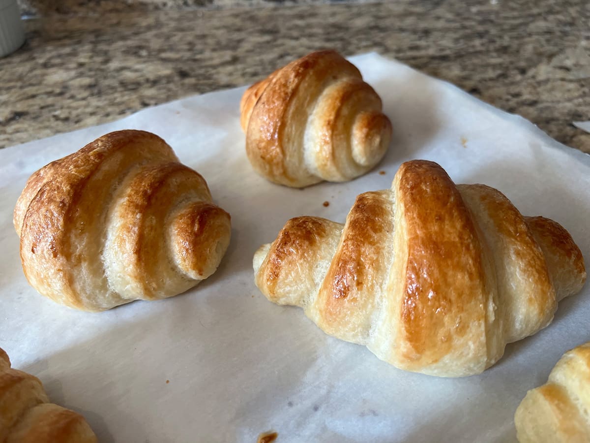 Croissants freshly baked out of the oven
