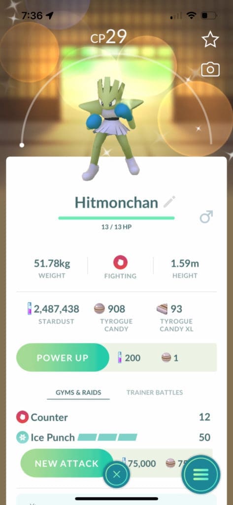 Hitmonchan pokemon caught in New York