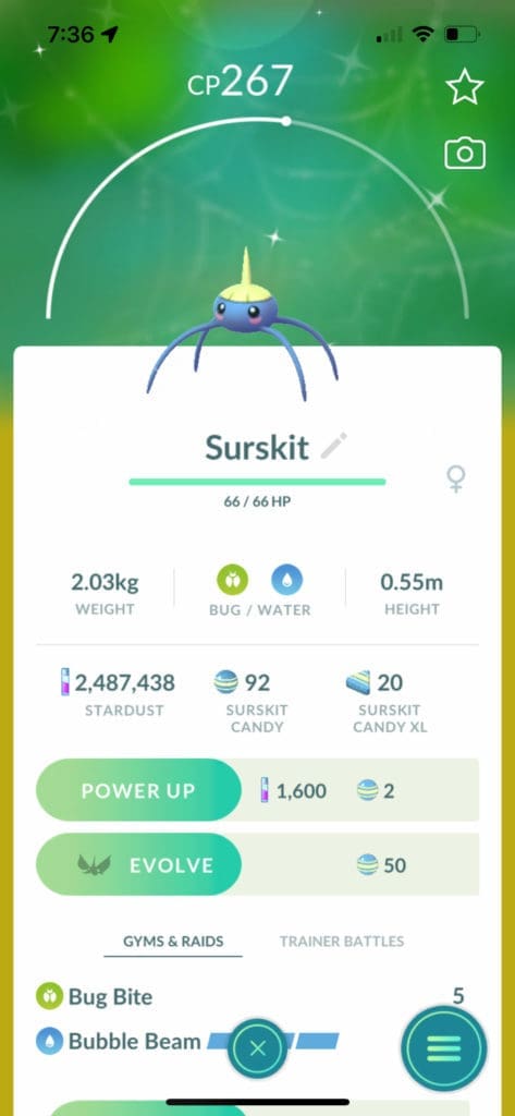 Surskit pokemon caught in New York