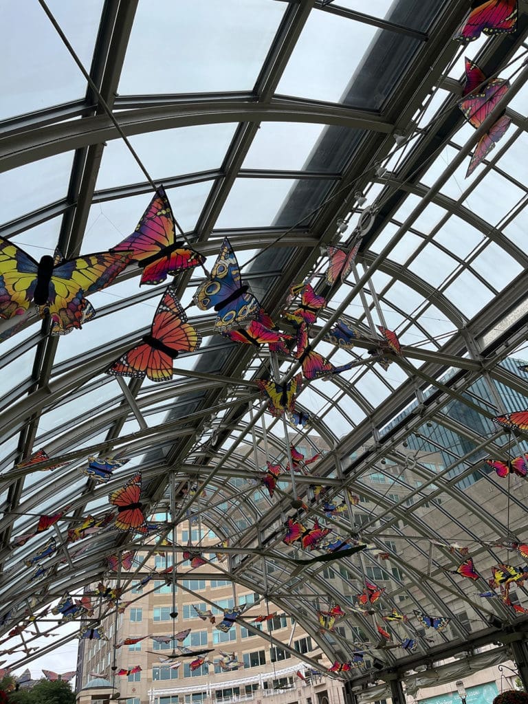 Butterflies on the ceiling in reston town center