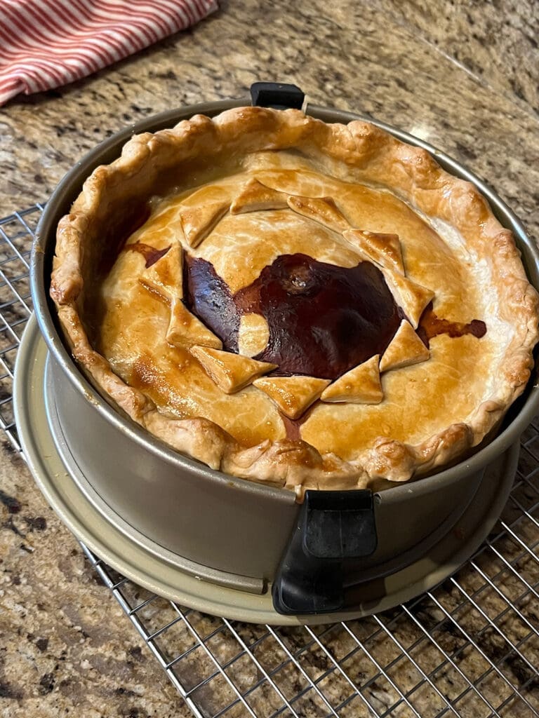 Raised Non Game Pie