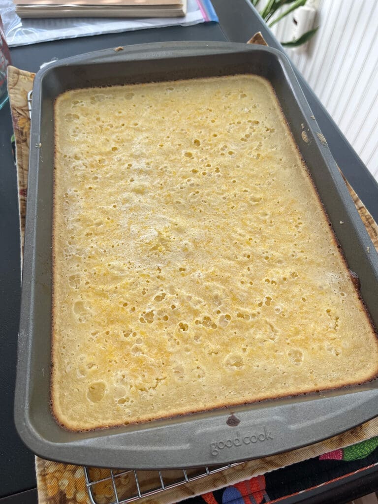 Lemon Bar baked from oven