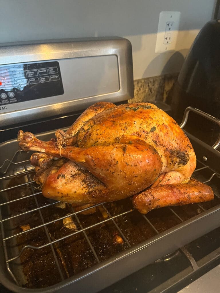 Thanksgiving Turkey resting