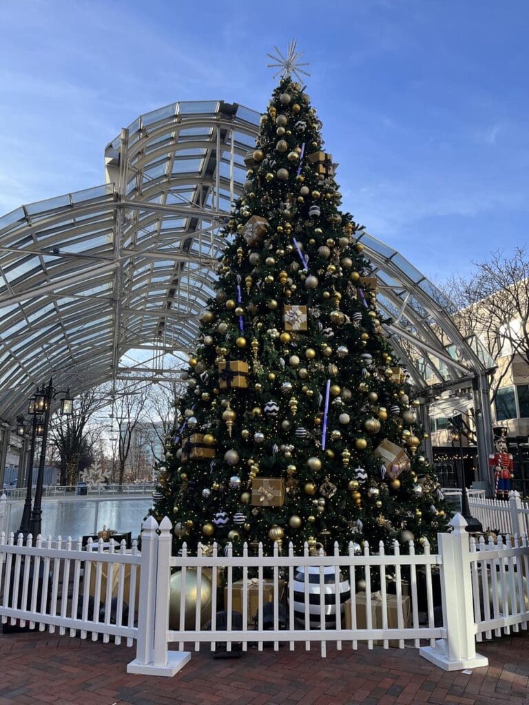 Reston Town Center Christmas Tree